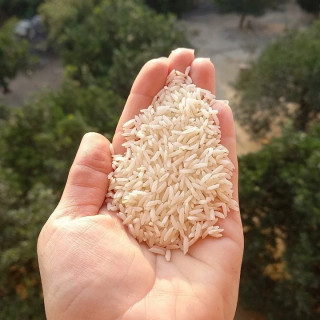برنج طارم فجر انتخاب اقتصادی کیفیت درجه 1
