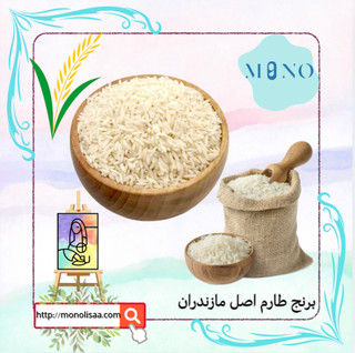 « برنج طارم امسال مازندران » کیفیت درجه یک
