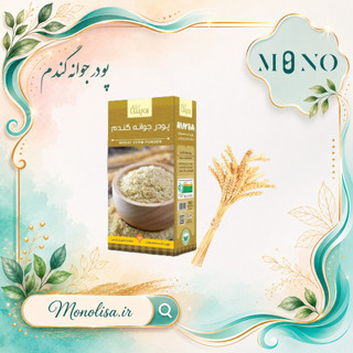 پودر جوانه گندم عمده 10 کیلوگرمی